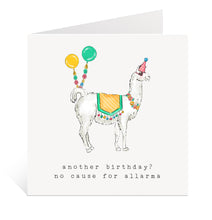 Load image into Gallery viewer, Funny Birthday Card
